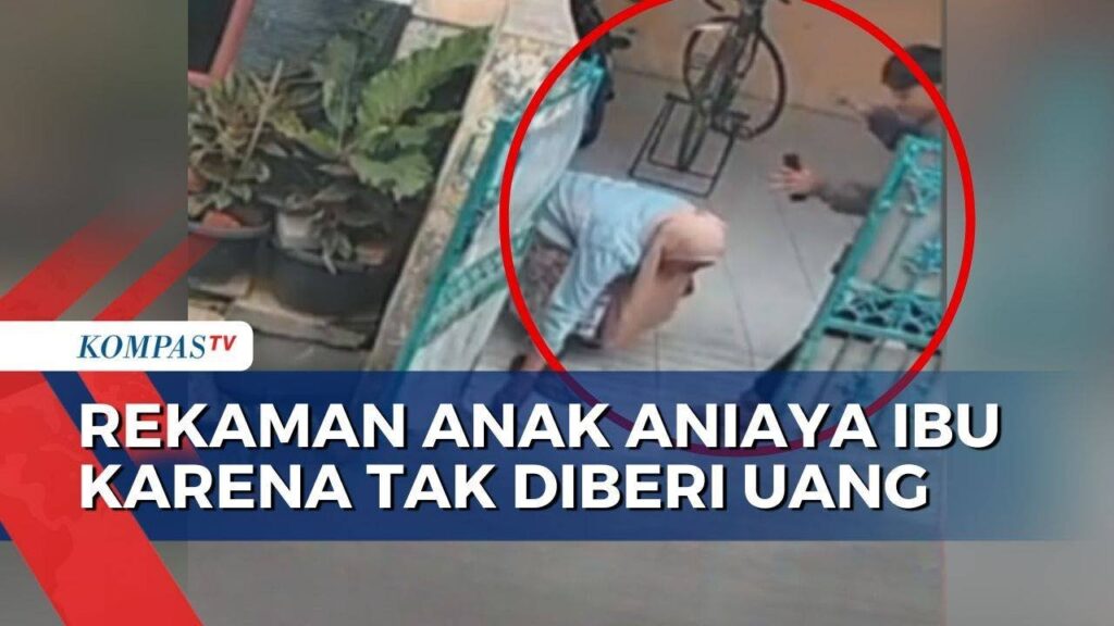 Ibu